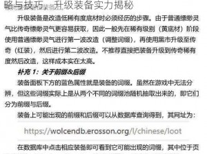 破坏领主暗金装备词条增强秘诀：探索独特策略与技巧，升级装备实力揭秘