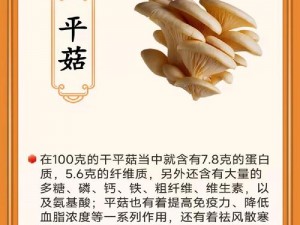 蘑菇系列 20G 完整版：丰富的内容，满足你的各种需求