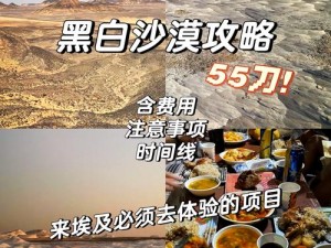 黑色沙漠探索之旅：全面掌握生活技能攻略——知识系统篇