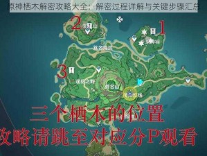 原神栖木解密攻略大全：解密过程详解与关键步骤汇总