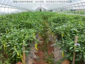 珊瑚岛辣椒种植探秘：生长环境、经济效益与可持续发展之路