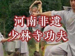 《少林古今五大神功：武林秘史的传承与演进》