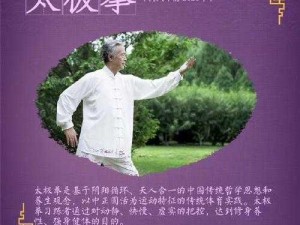 行云太极之歌：探秘韵律之美，传承中华魂