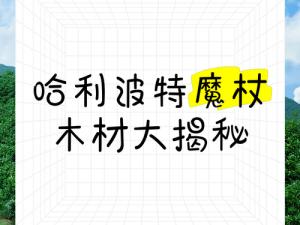 哈利波特魔法觉醒：探寻魔杖木材之谜，揭秘魔法世界的珍贵原料