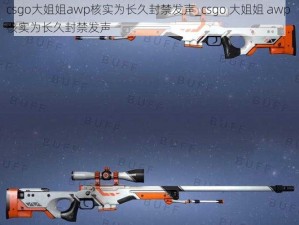 csgo大姐姐awp核实为长久封禁发声_csgo 大姐姐 awp 核实为长久封禁发声