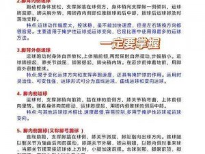 探索胜利足球之道：高分秘籍与操作小秘诀