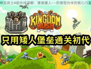 神龙武士A级伙伴详解：堡垒矮人——防御型伙伴的核心力量