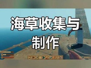 木筏求生：海草采集技巧揭秘，生存必备知识