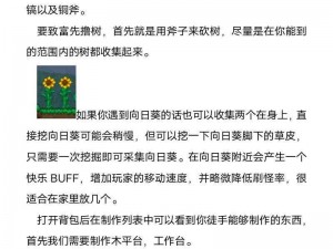 泰拉瑞亚全球定位装置制作指南：详细步骤与技巧揭秘