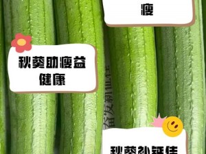 绿巨人丝瓜：富含维生素，口感鲜美，适合多种烹饪方式