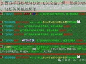 梦幻西游手游秘境降妖第18关攻略详解：掌握关键打法，轻松闯关挑战极限