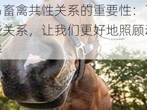 人马畜禽共性关系的重要性：了解这些关系，让我们更好地照顾动物伙伴