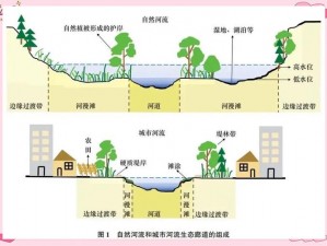 拖动按钮连接河道草丛：信号传递与生态互动的奥秘