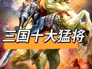 铁杆三国之最强武将争霸：谁将独占鳌首，一览英豪风采？