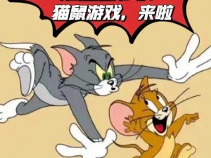 猫鼠同乐：玩转猫咪游戏新篇章