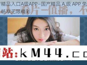 国产精品入口A级APP—国产精品 A 级 APP 免费入口，畅享无限精彩