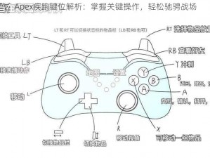 Apex疾跑键位解析：掌握关键操作，轻松驰骋战场