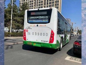 小扫货水能么多公交车、小扫货：这么多公交车，是要开去扫货吗？