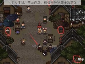 《大江湖之苍龙白鸟：根骨提升秘籍全攻略》