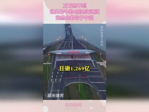 中韩专码砖2023,中韩专码砖 2023：探寻中韩交流的新途径