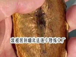 密宗真正肉莲太可怕了,密宗真正肉莲为何如此可怕？