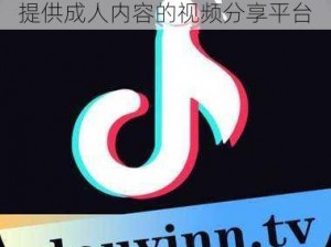 成人版抖阴-成人版抖阴APP：提供成人内容的视频分享平台