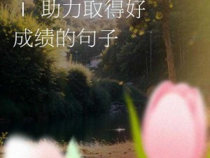 高考前的母爱第四季：营养助力，为梦想加油