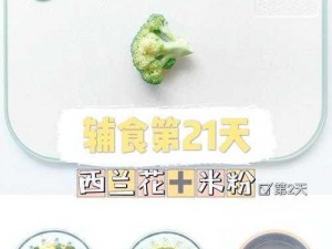 黑暗料理王：西兰花土豆泥秘制攻略——马铃薯与西兰花的完美融合