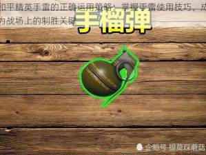 和平精英手雷的正确运用策略：掌握手雷使用技巧，成为战场上的制胜关键