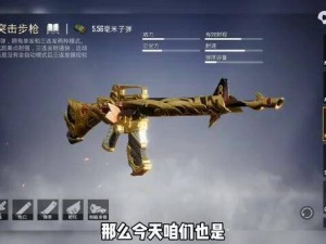 《和平精英》玩家必备：M16夜灯皮肤的详细获取指南