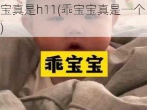 乖宝宝真是h11(乖宝宝真是一个 h11 吗？)