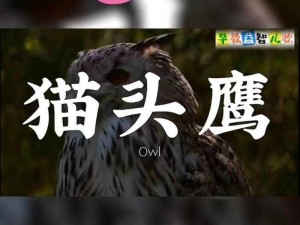 一起来捉妖猫头鹰：探寻神秘夜行者的故事与真相之旅