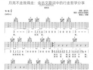 月亮不走我得走：金志文歌词中的行走哲学分享