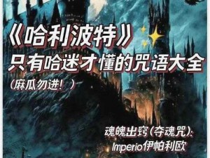 《神秘魔法与哈利波特：探秘深处咒语之力》