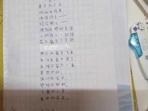 小诗成为学校教具9章—小诗成为学校教具：探索未知的九章