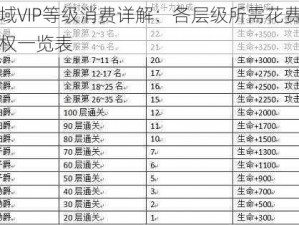 魔域VIP等级消费详解：各层级所需花费及特权一览表