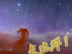 一星奶妈惊现巨额伤害，揭秘其十万攻击背后的奥秘与力量探寻