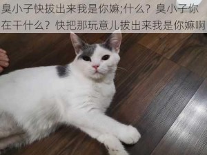 臭小子快拔出来我是你嫲;什么？臭小子你在干什么？快把那玩意儿拔出来我是你嫲啊