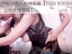 1000部拍拍拍18勿入在线观看【1000 部拍拍拍 18 勿入在线观看，让你大饱眼福】