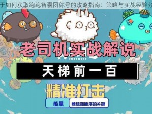 关于如何获取跑跑智囊团称号的攻略指南：策略与实战经验分享