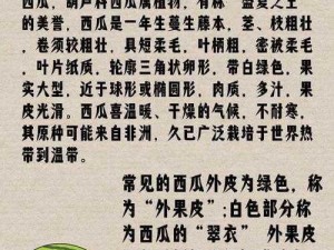 开心大西瓜：乐趣无穷的夏日果实简介