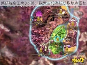 莱莎炼金工房3攻略：探索古代海胆获取地点揭秘