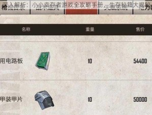 深入解析：小小幸存者游戏全攻略手册，生存秘籍大揭秘