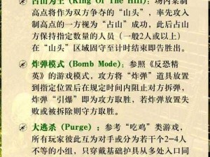 战地指挥官竞技模式等级详解与赛制介绍：专业等级划分与竞技策略探讨