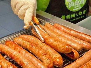 小洞需要大肉肠指什么(什么是小洞需要大肉肠所指？)