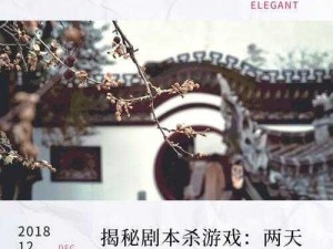 派对疑案揭秘：董子昂神秘剧本之夜