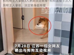 狗狗帮主人拿纸3入茅厕淡定转身—狗狗连续 3 次入厕帮主人拿纸，淡定转身超有爱