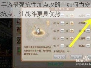 问道手游最强抗性加点攻略：如何为宠物增加抵抗点，让战斗更具优势