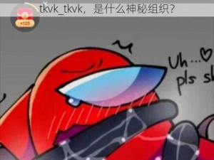 tkvk_tkvk，是什么神秘组织？