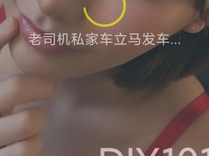 diy私家车101入口_如何找到diy 私家车 101 入口？